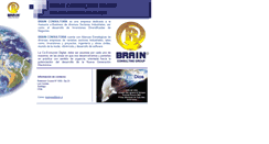 Desktop Screenshot of brain.cl